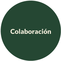 Colaboración